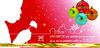 Voeux 2013 LOW COST CE Vaucluse