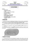 Atletismo (teoría para quinto)