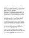 Diagnosing And Treating A Hemorrhagic Cyst