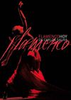 Flamenco hoy