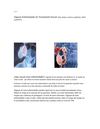 Algunas_Enfermedades_de_Transmision_Sexual