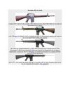 Armalite AR-10 (USA)