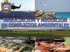Materia: Toma de Decisiones, Tema: Mediacion y Negociacion en Conflictos Ambientales