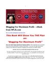 Blogging For Maximum Profit – eBook from 9PLR.com