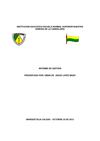 INFORME DE GESTION 2012