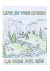 life in the river