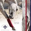 14 - Plaquette du Jumping de Monte-Carlo - 2010