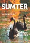 Livability Sumter, SC: 2013