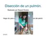 (Raquel Álvarez Rodríguez) Disección de pulmón de cordero