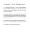 The Importance of San Jose Child Support Lawyer