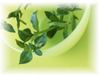 Remedios Naturales Para Curar La Diabetes
