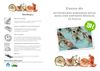 Curso "Actividades dirigidas con soporte musical en el agua"