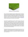 Artificial grass Free of charge Maintenance 
