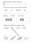 Avaluació català 2n trimestre ADAPTADES
