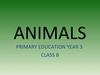 ANIMALS