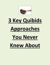 3 Key Quibids Approaches You Never Knew About