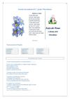 PROGETTO NONNI 2012/2013
