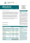 Breiler and Schnabl Newsletter January 2013
