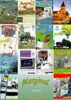 Bulletin Municipal N° 20