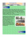 Damage Restoration In Atlanta, Georgia and Birmingham