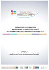 Livret 2 : Analyse des freins périphériques à l'emploi
