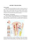 anatomia y fisiologia renal