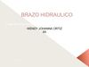 brazo hidraulico