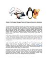 Obtain Full-fledged Google Panda & Penguin Recovery Solutions