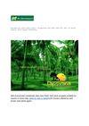 Residential Sites Near Hubli, Properties and Farm Land for sell in North Canara, Real Estate Providers.