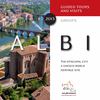 Albi, guided tours and sales manual for groups - 2013
