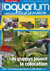 L'Aquarium à la Maison N° 96 (Extrait)