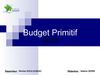 Budget Primitif 2013
