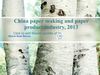 China paper making and paper product industry, 2013