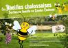 Abeilles Chalossaises : les sorties en famille en Landes Chalosse