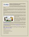 Looking for Tile Cleaning Services, Professional Upholstery Cleaning and Area Rug Cleaning Service