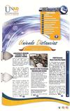 Uniendo Distancias - Enero - Febrero 2013 - Edición: Español