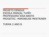 PROJETO DENGUE