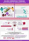 Balance commerciale française - Forte contribution du médicament en 2012