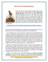 Natural Cures Quitting Smoking