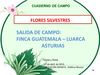 CUADERNO DE CAMPO, 17 de abril, 2013