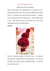 Different Kinds of Roses for Wedding