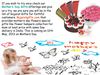 Send Flowers Gifts to India on Mothers Day at Gujaratgifts.com