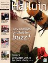 Magazine d'information municipale de la ville d'Halluin - Mai / Juin 2013