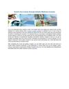 Enrich Your Career through Holistic Medicine Courses