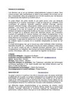 Flamenco y Nuevas Tecnologías 