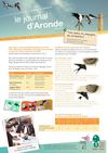 Journal Aronde Mai 2012