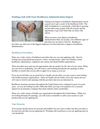 Finding a Job with Your Healthcare Administration Degree