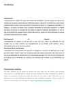 Plan Marketing