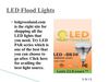 LED Flood Lights