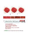 Indian Red Dry Chilli Exporters